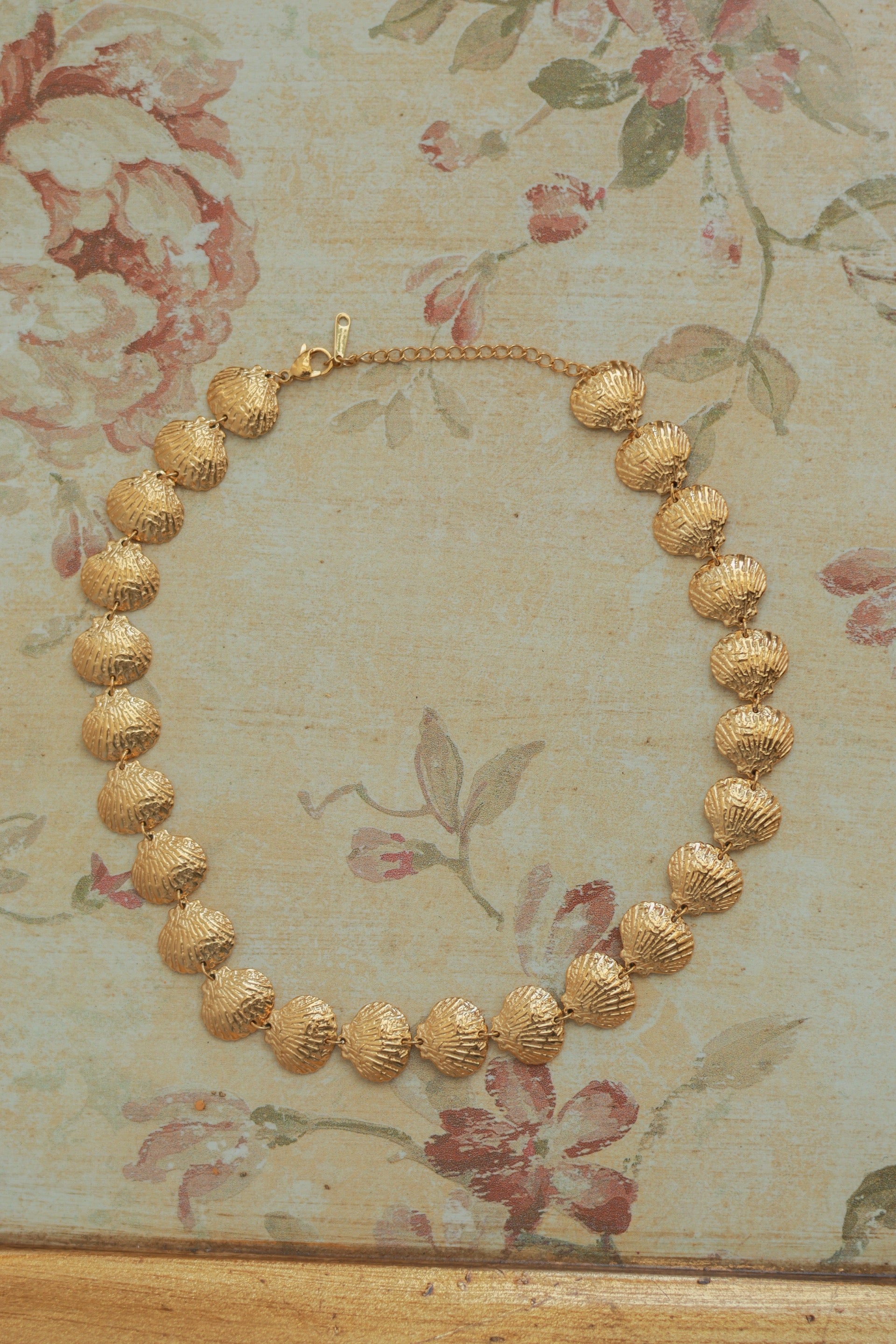 Antique Full Seashell Necklace, Flatlay