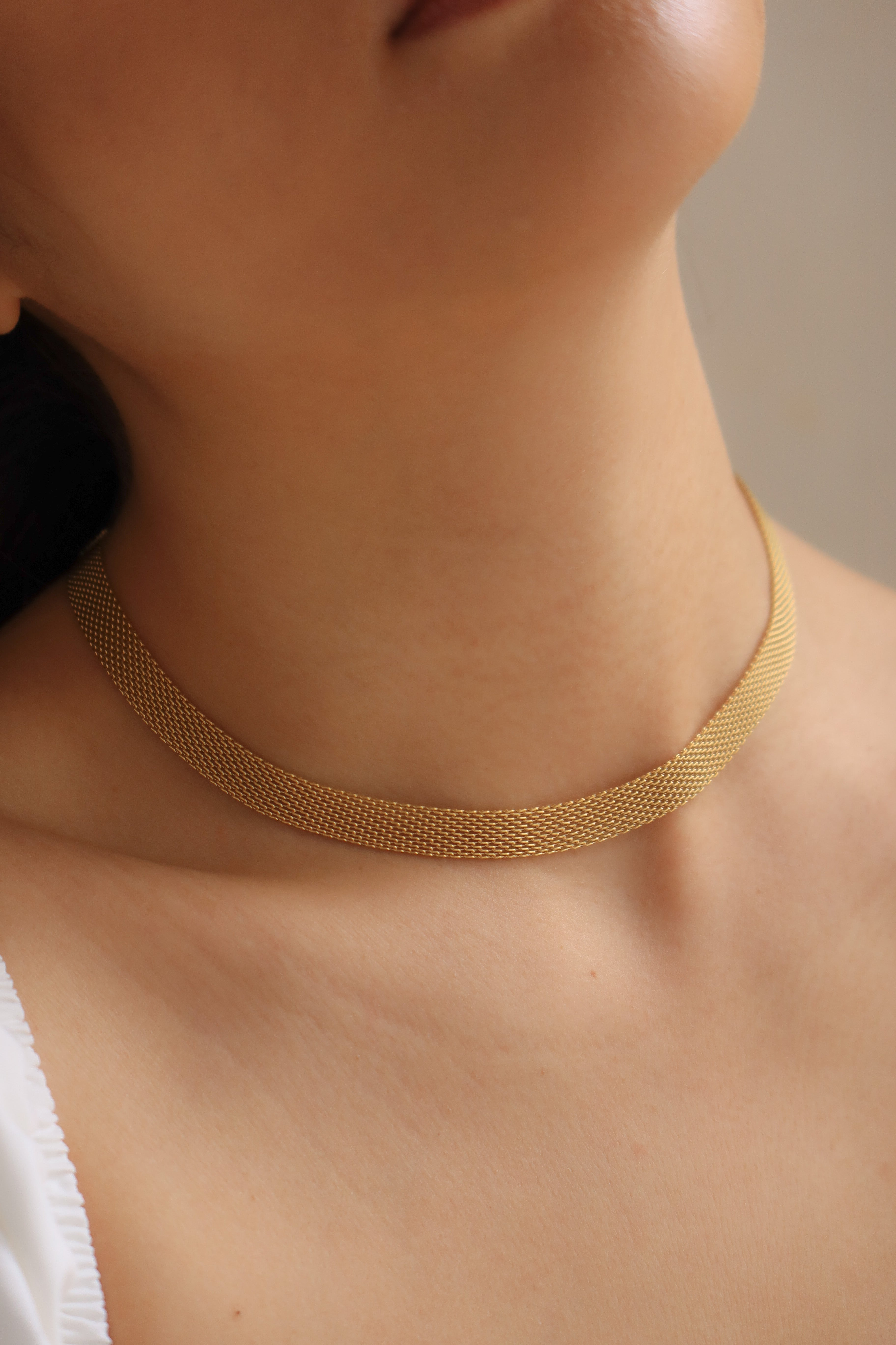 Mesh Choker Necklace