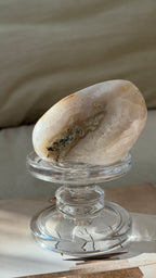 Madagascar Pink Druzy Agate Geode