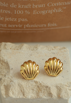 Seashell Gold Studs