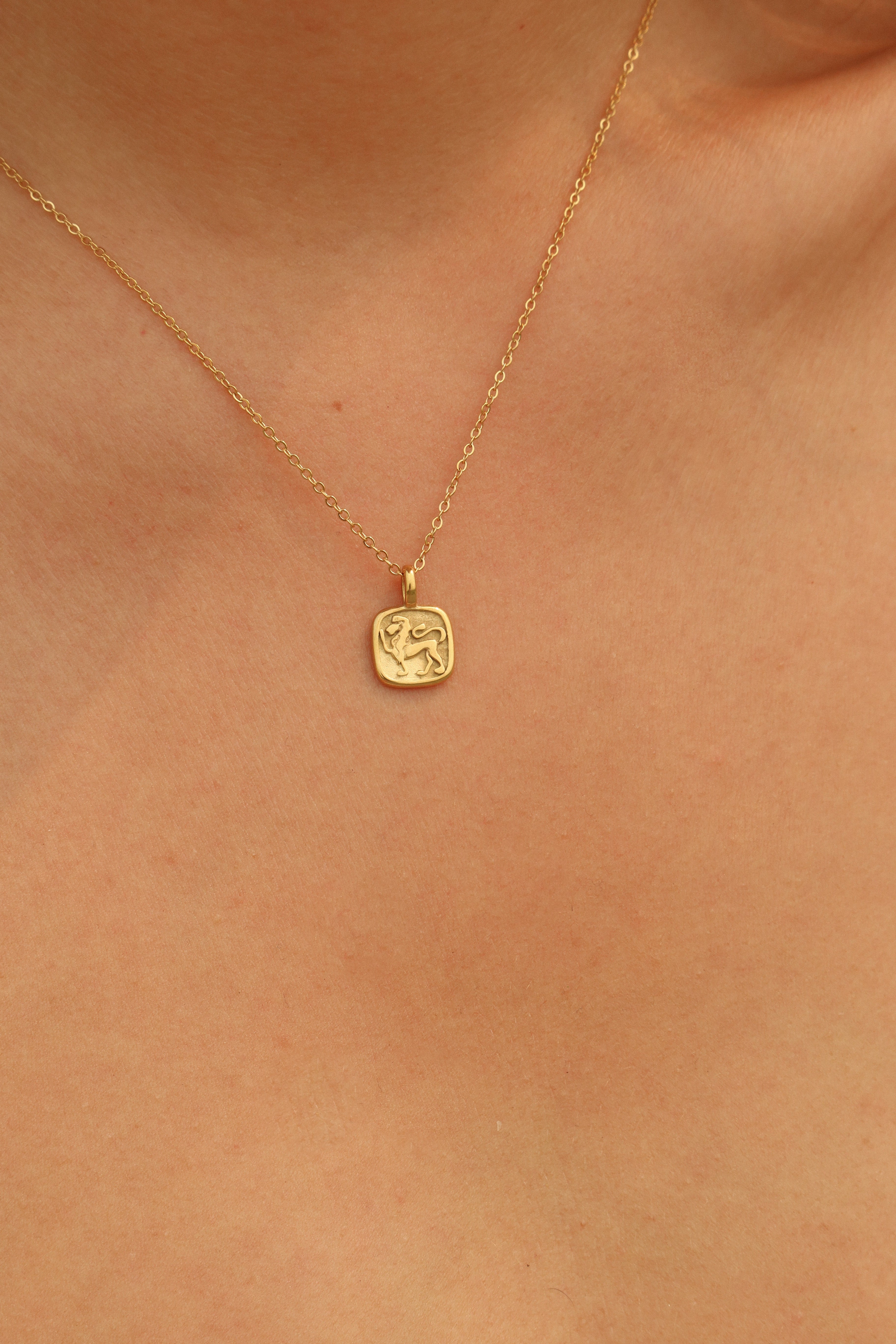 Zodiac Pendant Personalise Necklace