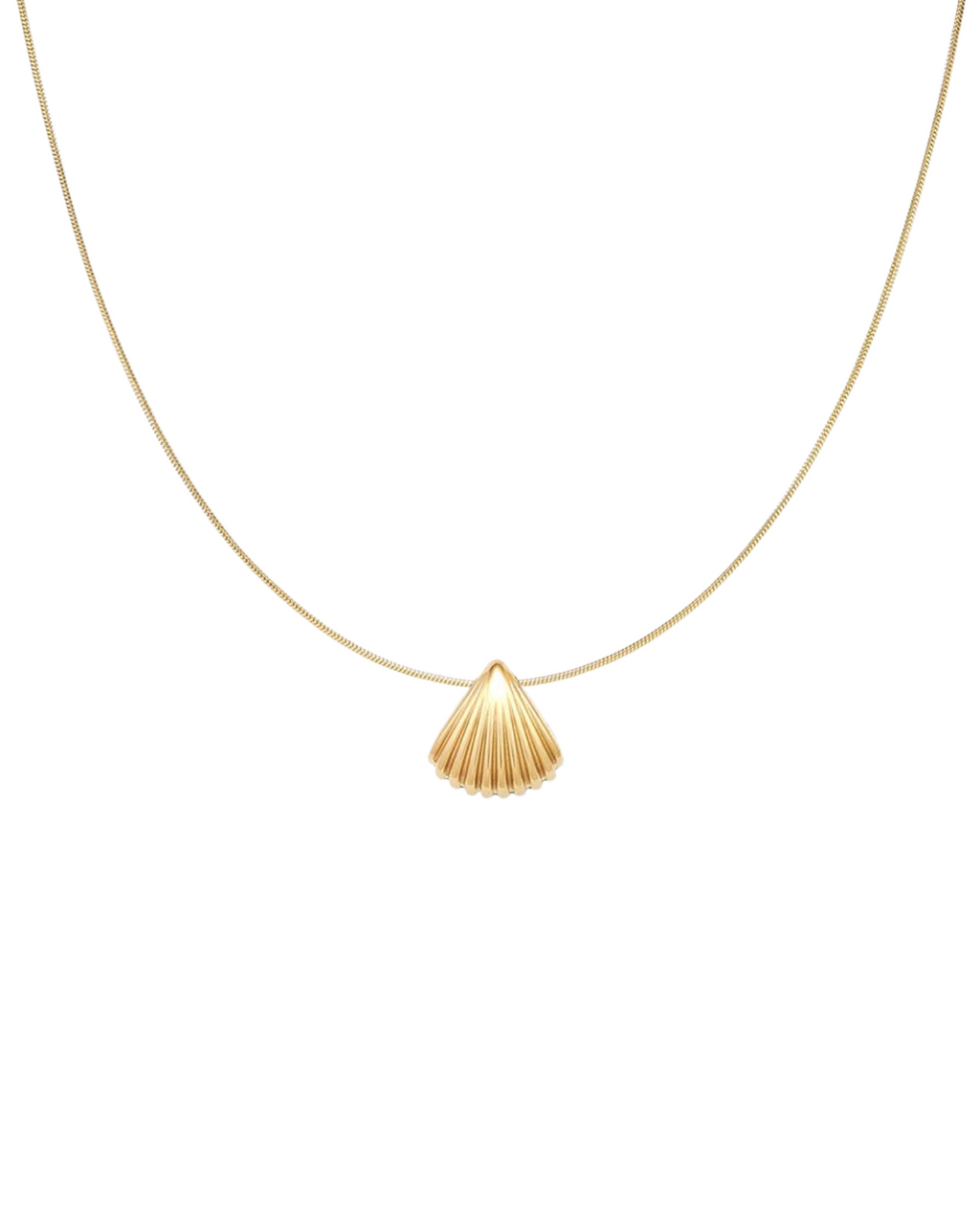 Seashell Necklace