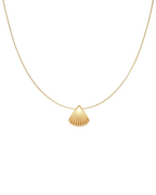Seashell Necklace